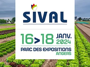 Miniatures-actualites_sival.jpg